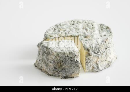 Série de meubles français Selles-sur-Cher AOC Fromage de chèvre enrobé de cendres et montrant la moisissure sur la couenne Banque D'Images