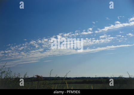 Altocumulus castellanus, minces touffes en lignes parallèles formant groupe en ciel bleu, champs de campagne ci-dessous. Banque D'Images