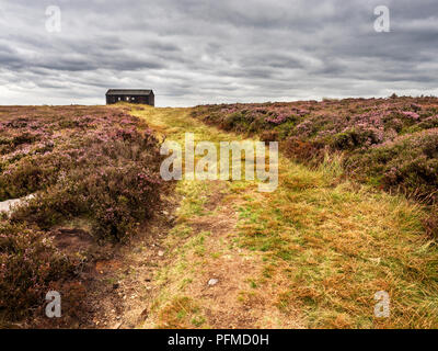 Chemin à travers heather menant à une cabane de tir sur Burley Moor West Yorkshire Angleterre Banque D'Images