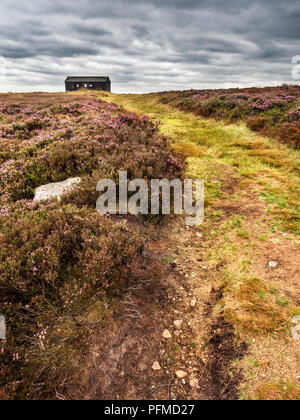 Chemin à travers heather menant à une cabane de tir sur Burley Moor West Yorkshire Angleterre Banque D'Images