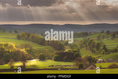 La rivière Wharfe près de Hebden, Yorkshire du Nord Banque D'Images