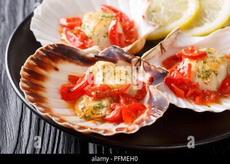Les pétoncles servis avec un shell avec la sauce, les tomates et le persil sur une assiette sur une table horizontale. Banque D'Images
