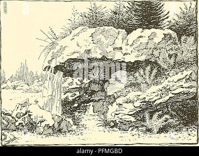 . Cyclopedia of American horticulture, comprenant des suggestions pour la culture de plantes horticoles, les descriptions des espèces de fruits, légumes, fleurs et plantes ornementales vendues aux États-Unis et au Canada, ainsi que des notes biographiques et géographiques. Le jardinage. &Gt;hL &gt ;^ -""j-^iV- &Lt ; .1 2139. Un cas isolé rocaille sous un arbre, la Californie du Sud. par traction la plantation d'une grande variété de plantes alpines et d'autres. Le sens des monticules de pierres trop souvent vu dans des jardins, plantés de siimmer-lit- ding de plantes ou de vignes, ne représentent pas le vrai conc Banque D'Images