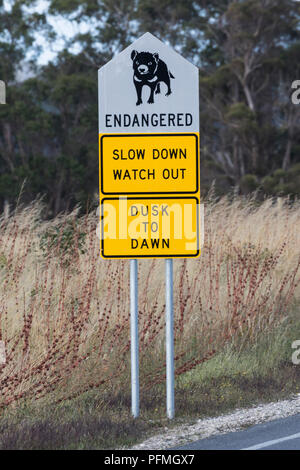 Diables de Tasmanie attention road sign Banque D'Images