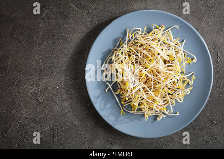 Haricot mungo frais sur plaque sur fond de béton, ingrédient majeur de la cuisine asiatique, voir formulaire ci-dessus Banque D'Images