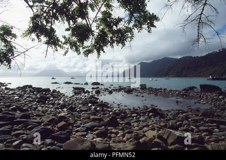 Jackson Bay, entouré de marais, montagnes et bush, Haast, île du Sud, Nouvelle-Zélande Banque D'Images