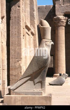L'Egypte, Edfou, Temple d'Horus, statue de granit le dieu faucon Horus, side view Banque D'Images