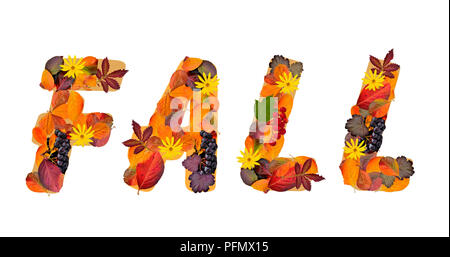 Mot composé à partir de l'automne les feuilles d'automne colorés de différentes plantes et petits fruits rouges et violets isolé sur fond blanc Banque D'Images