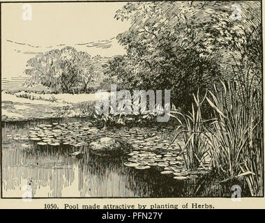 Cette référence horticole complète couvre les techniques de culture d'un large éventail de plantes, y compris les fruits, les légumes, les fleurs et les espèces ornementales, et fournit des descriptions détaillées des plantes couramment vendues aux États-Unis et au Canada. Banque D'Images