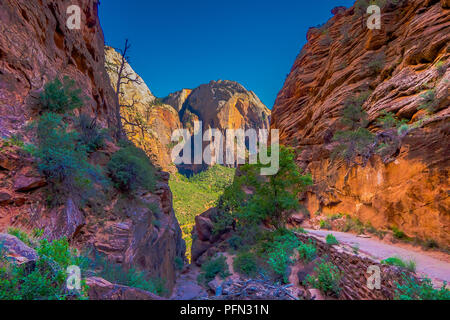 Vue panoramique du célèbre Angels Landing, donnant sur Zion Canyon pittoresque sur une belle journée ensoleillée avec ciel bleu en été, le parc national de Zion, Springda Banque D'Images