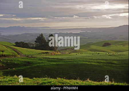 États-unis. Apr 29, 2018. Terres agricoles sur la côte ouest de l'île nord de la Nouvelle-Zélande, enregistré en avril 2018 dans le monde de l'utilisation | Credit : dpa/Alamy Live News Banque D'Images