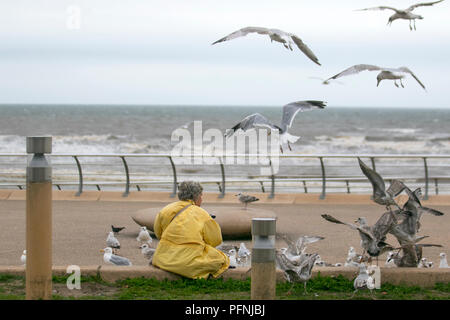 Femme nourrissant des mouettes à Blackpool, Lancashire, Royaume-Uni Météo. Août 2018. Météo Royaume-Uni. La brise raide et le ciel couvert du complexe donnent lieu à une plage presque déserte et à une promenade en bord de mer. Le temps couvert à la fin de l'été est une mauvaise nouvelle pour toutes les attractions de bord de mer de ce centre de villégiature du nord-ouest du Lancashire. Crédit : MediaWorldImages/Alamy Live News Banque D'Images