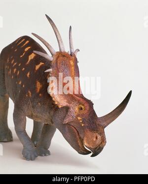 Styracosaurus Banque D'Images