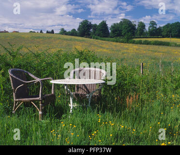 Table de jardin ronde et de deux chaises en osier en pays vert prairie parsemée de renoncules. Banque D'Images