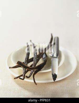 Vanilla planifolia, gousses de vanille séchée dans de petits Bol en céramique, l'un d'eux est séparé de petites graines noires raclés à partir de son centre affiche sur la pointe d'un couteau. Banque D'Images