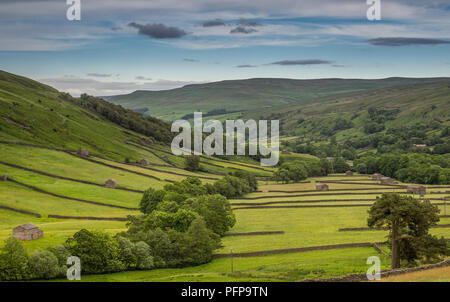 Swaledale dans le Yorkshire Dales National Park ses parties supérieures sont particulièrement remarquables en raison de son grand ancien domaine des granges en pierre calcaire , murs Banque D'Images