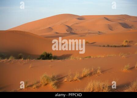 Le Maroc, Sahara, dunes de sable de l'Erg Chebbi Banque D'Images