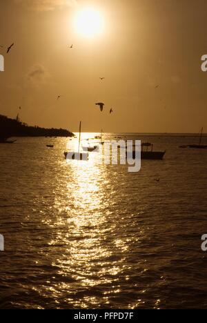 Kenya, coucher de soleil sur l'île de Wasini Banque D'Images
