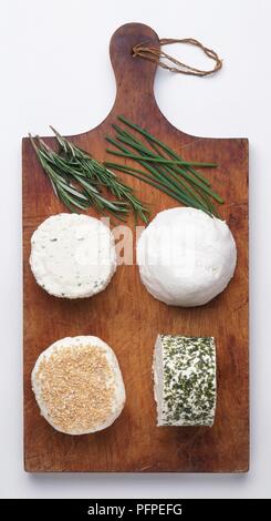 Une sélection de fromages à pâte molle et les herbes sur planche, fromage au lait de vache avec de l'ail, fromage de brebis avec des noix, fromage de brebis, roulée dans de fines herbes et fromage de chèvre Banque D'Images