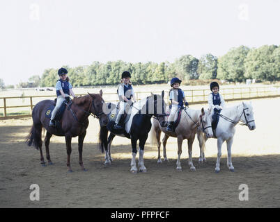 Trois jeunes filles et garçon assis sur des poneys dans une ligne dans le paddock Banque D'Images