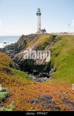 États-unis, Californie, près de San Francisco, Pigeon Point Lighthouse Banque D'Images