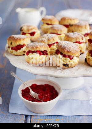 Des scones avec de la confiture et de la crème caillée damson Banque D'Images