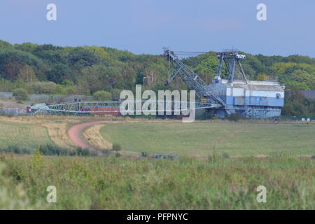 L'excentrique Ruston Bucyrus Erie 1150 Walking Dragline qui est préservée dans son dernier lieu de repos à l'RSPB St Aidan's Nature Park Banque D'Images