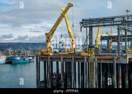 Quai d'expédition Alaska : grandes grues transporter du fret à un quai à Homer, Alaska. Banque D'Images