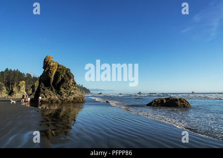 Ruby Beach Shores sur une belle journée, Olympic National Park, Washington State, USA côte. Banque D'Images