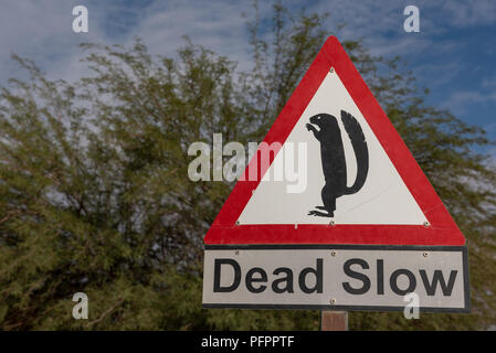 Funny sign post d'avertissement très lente sur le côté d'une route dans la Namibie à l'attention des pilotes avec illustration d'un écureuil terrestre, la Namibie Banque D'Images