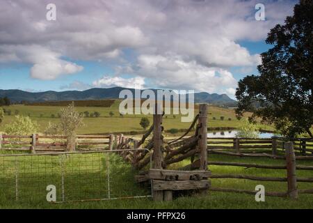 L'Australie, Nouvelle Galles du Sud, Hunter Valley luxuriantes avec paysage de montagnes en arrière-plan Banque D'Images