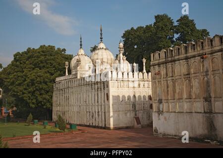L'Inde, Delhi, Fort Rouge, Moti Masjid (mosquée de la perle), extérieur Banque D'Images