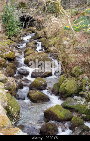 La Grande-Bretagne, l'Angleterre, Lake District, le ruisseau Gill Greenhead Près de Grasmere Banque D'Images