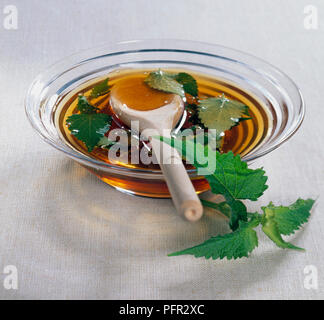 Agastache foeniculum (anis hysope) dans un bol, avec une cuillère en bois Banque D'Images