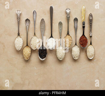 Les cuillères contenant différents types de riz, risotto de riz, riz à grains longs, le riz basmati, riz sauvage, riz collant, le pudding de riz, riz brun, riz à sushi, riz rouge de Camargue (riz), riz au jasmin Banque D'Images
