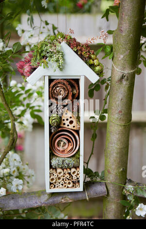 Hôtel avec toit planté d'insectes Banque D'Images