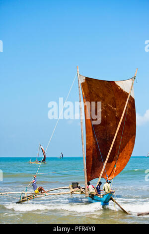 Sri Lanka, Province de l'Ouest, plage de Negombo, les pêcheurs en bateau oruva Banque D'Images