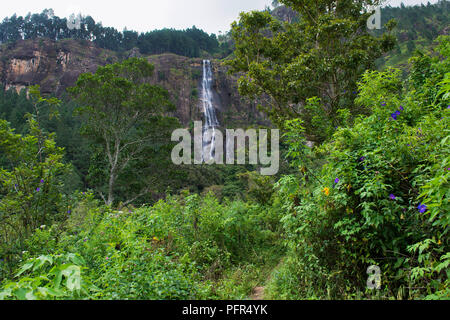 Sri Lanka, province de Sabaragamuwa, Belihul Oya, Bambarakanda Falls Banque D'Images