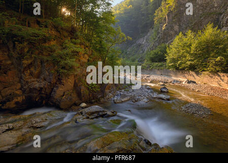 Cascade dans le Parc National, Vrancea, Roumanie Banque D'Images