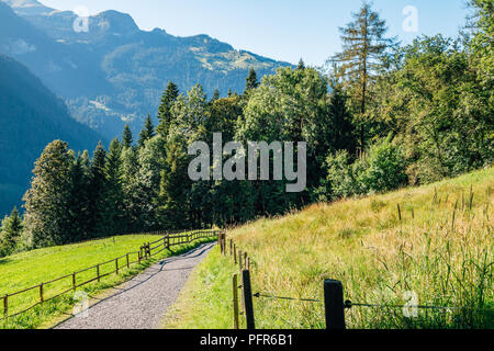 Sentier de randonnée de montagne Lauterbrunnen road en Suisse Banque D'Images