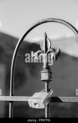 Image en noir et blanc d'un verrou sur une clôture de fer avec une fleur de lis Banque D'Images