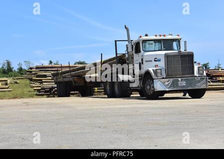 Articles pour le Porto Rico profil mission de restauration sont portées à l'aéroport Aguadilla Cour posage à Aguadilla, Puerto Rico, le 24 mai. Le projet de loi de matériaux USACE Squad sur la cession par la FEMA supervise l'achat et la distribution de tous les nomenclature pour la mission. Banque D'Images