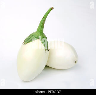 Les aubergines blanches sur fond blanc, close-up Banque D'Images