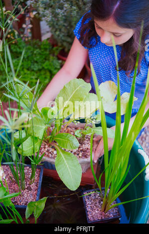 Jeune fille organiser les plantes dans l'étang de conteneurs Banque D'Images