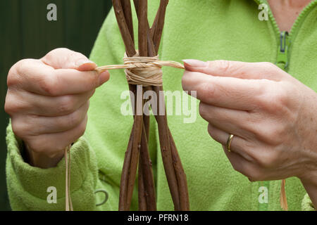 Personne fixant les cannes ensemble à l'aide de ficelle de jardin pour faire un tipi pour une plante grimpante, close-up Banque D'Images