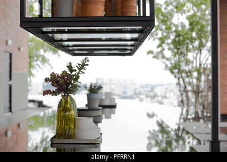 Maison moderne décoration d'usines dans des flacons en verre jaune Banque D'Images