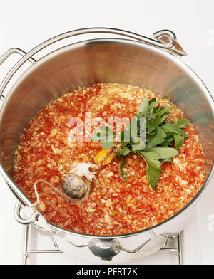 Sauce au Poivre rouge superposée dans le moule avec un sac d'épices et d'herbes fraîches (fabrication de poivron rouge ketchup) Banque D'Images