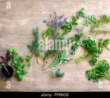 Sélection d'herbes utilisées dans la cuisine méditerranée Banque D'Images