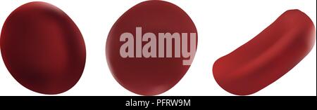 Illustrations vectorielles réaliste définir globule rouge. Concept scientifique. Les cellules de sang rouge isolé sur fond blanc Illustration de Vecteur