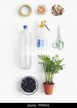 Matériel nécessaire pour faire une forêt dans une bouteille expérience scientifique. Vous aurez besoin d'une bande, la coque, pierres, une bouteille en plastique, un vaporisateur avec de l'eau, des ciseaux, du charbon, et une plante en pot Banque D'Images